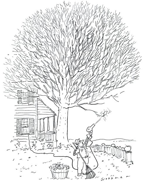 Man trying to blow last leaf from tree.