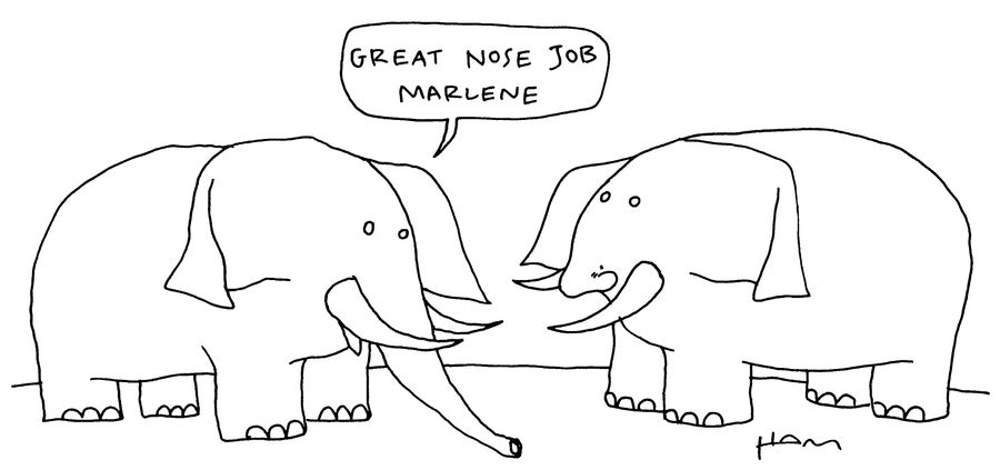 'Great nose job, Marlene.'