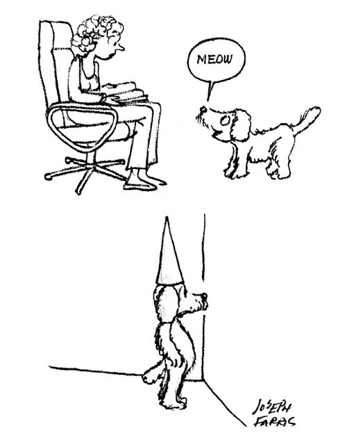 Meowing Dog Sent to the Naughty Corner.