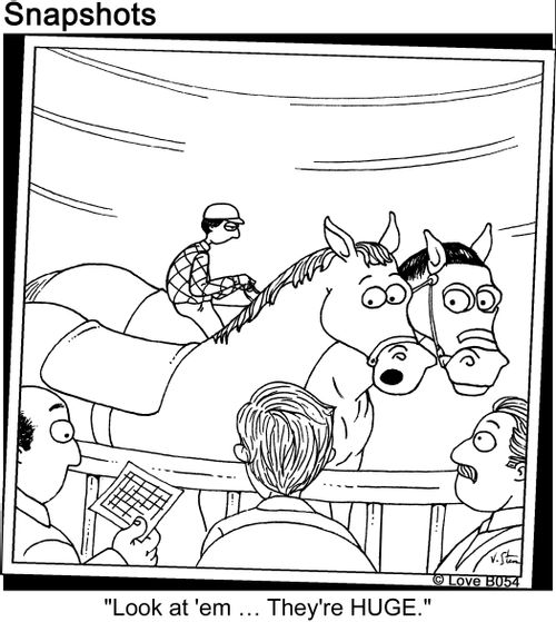 Race Horses See Big People.