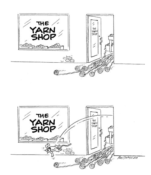 A Cat is Kicked Out of A Yarn Shop.