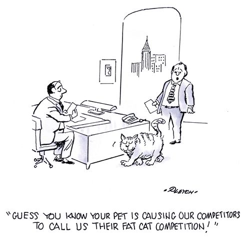 'guess you know your pet is causing our competitors to call us their fat cat competition!'