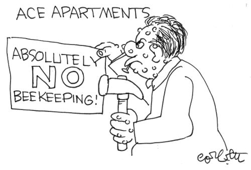 Apartment beekeeping.