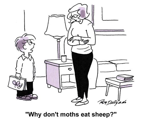 'Why don't moths eat sheep?'