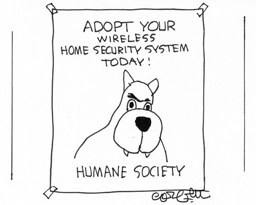 Adopt your wireless home security system today!