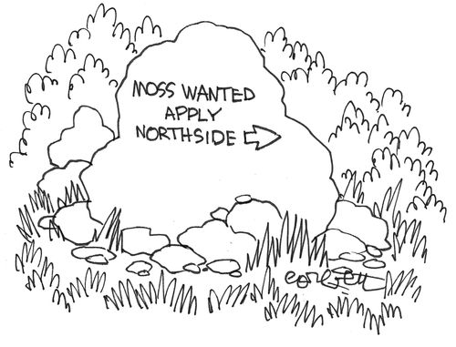 Rock: 'Moss wanted...apply northside'
