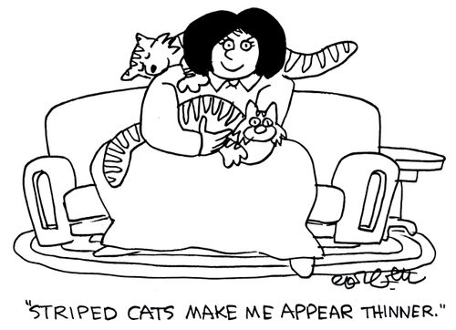 'Striped cats make me appear thinner.'