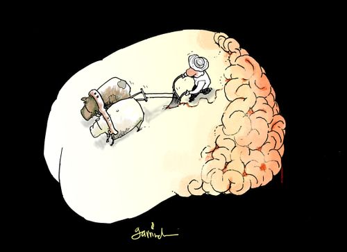 Learning.