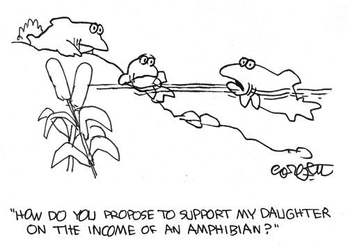 'How do you propose to support my daughter on the income of an amphibian?'