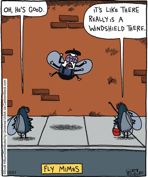 Fly Mimes.