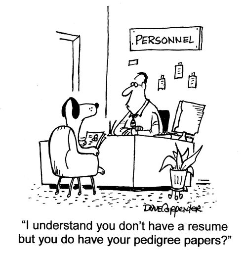'I understand you don't have a resume but you do have your pedigree papers?'
