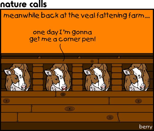 Corner pen.