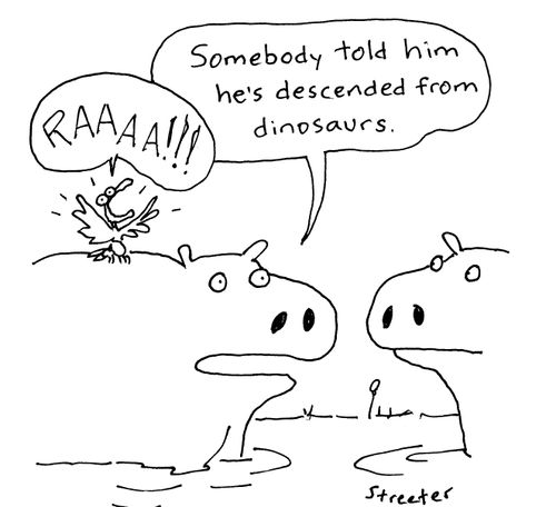Bird Descended from Dinosaurs.