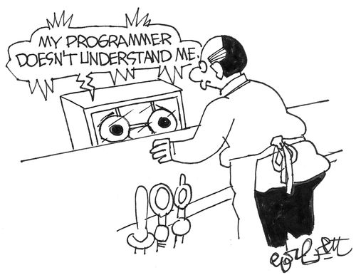 'My programmer doesn't understand me.'
