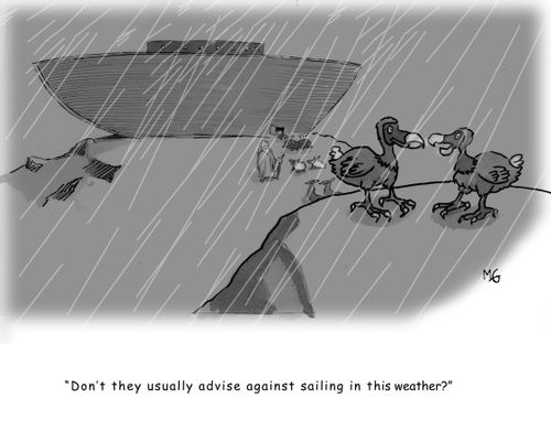 'Don't they usually advise against sailing in this weather?'