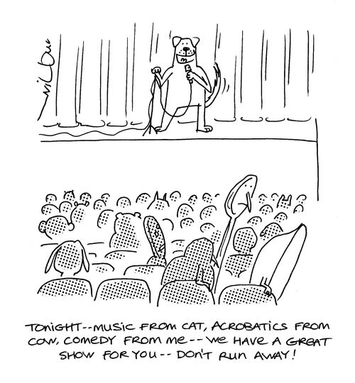 'Tonight - music from cat, acrobatics from cow, comedy from me -  we have a great show for you - don't run away!'