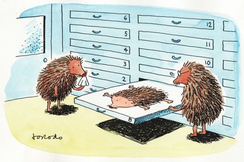Hedgehog Mortuary.