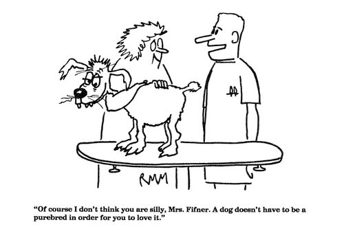 'Of course I don't think you are silly, Mrs. Fifner. A dog doesn't have to be a purebred in order for you to love it."