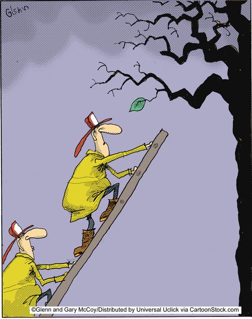 Saving the leaf.