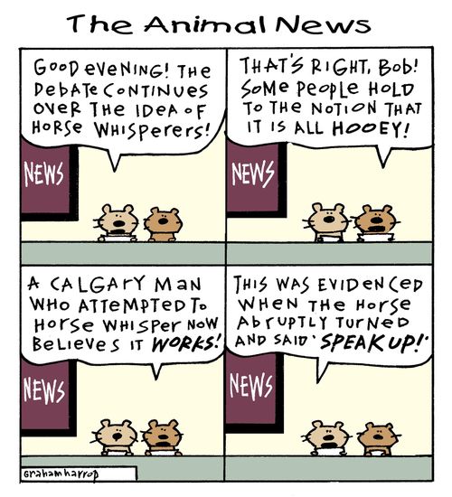 'Good evening! The debate continues over the idea of horse whisperers...'