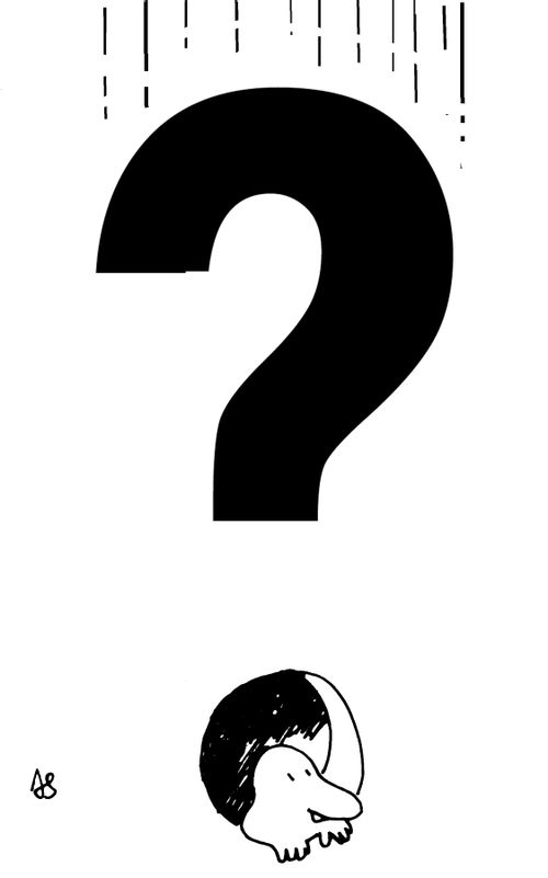 'The Questioner'