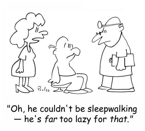 'Oh, he couldn't be sleepwalking - he's far too lazy for THAT.'