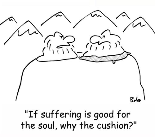 'If suffering is good for the soul, why the cushion?'