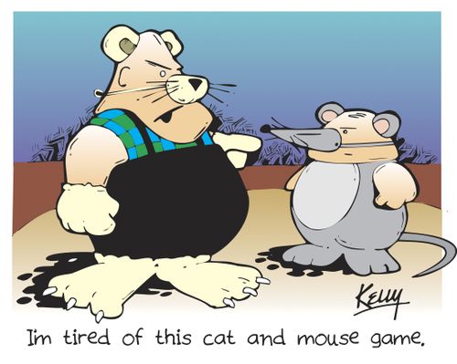 'I'm tired of this cat and mouse game.'