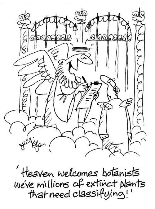 'Heaven welcomes botanists, we've millions of extinct plants that need classifying!'