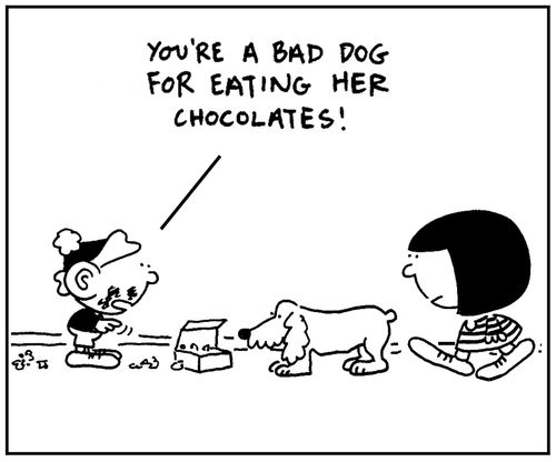 'You're a bad dog for eating her chocolates.'