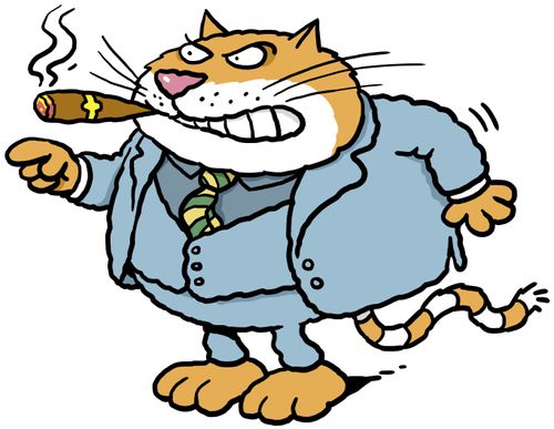 Angry fat cat with cigar.