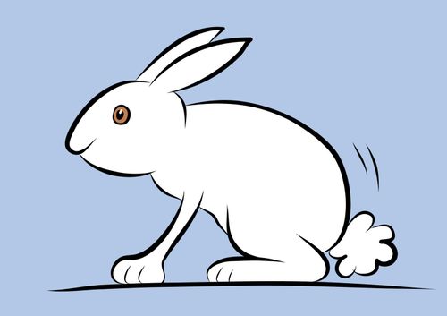 A white rabbit.
