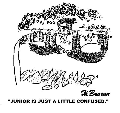 'Junior is just a little confused.'