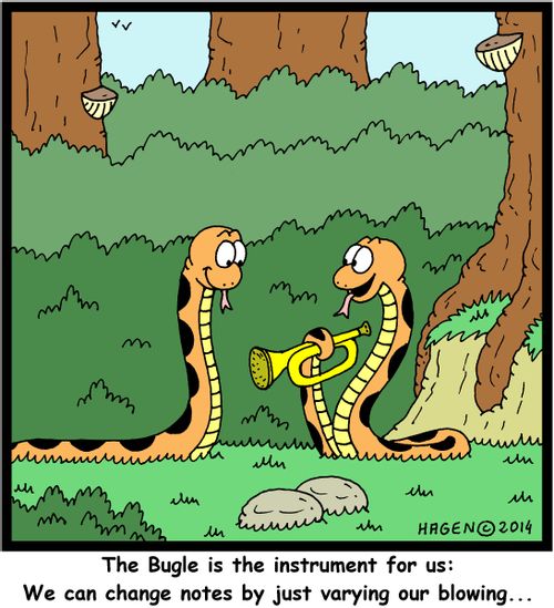 'The Bugle is the instrument for us: We can change notes by just varying our blowing...'