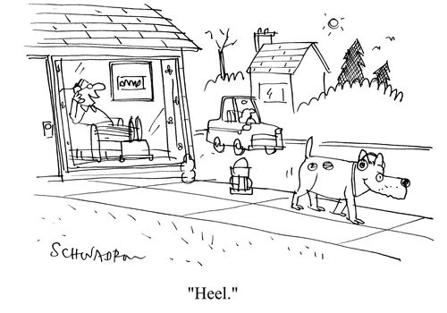 'Heel.'
