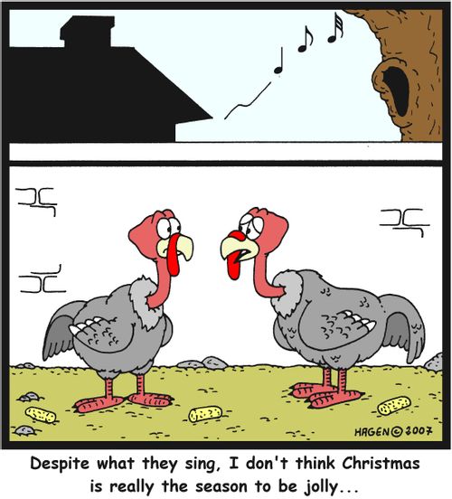 'Despite what they sing, I don't think Christmas is really the season to be jolly...'