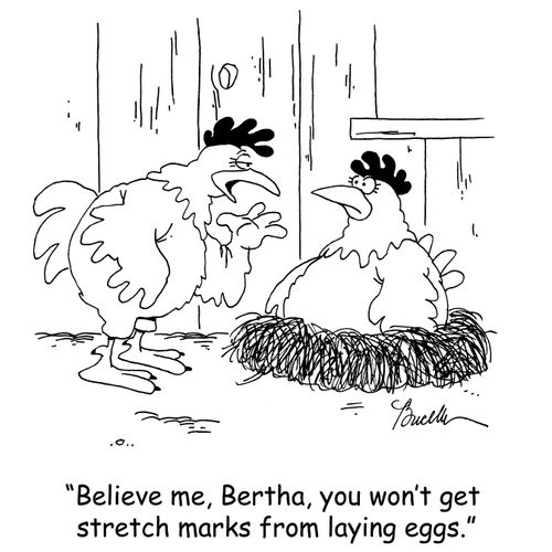 'Believe me, Bertha, you won't get stretch marks from laying eggs.'