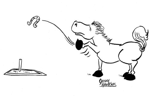 Horse pitching shoe...