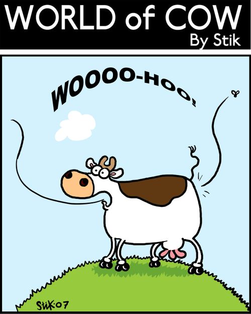 Stunt Fly flying through a cow.