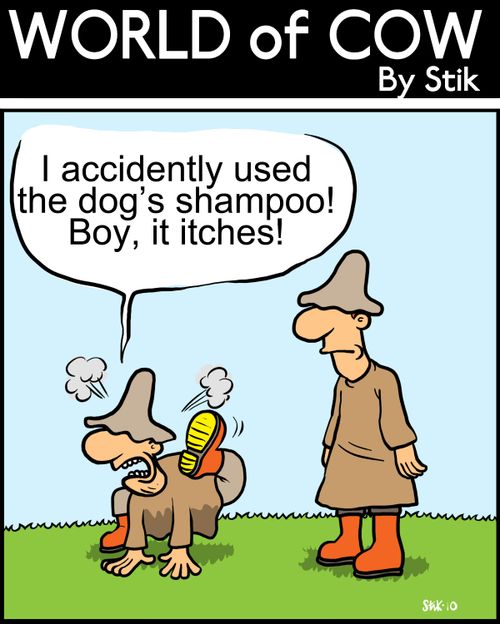 I accidently used the dog's shampoo! Boy it itches!
