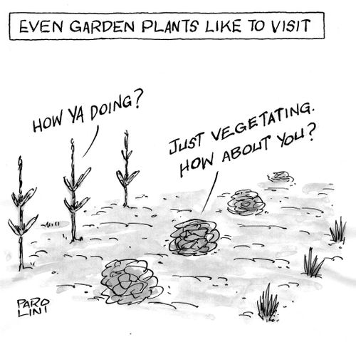 Even garden plants like to visit.