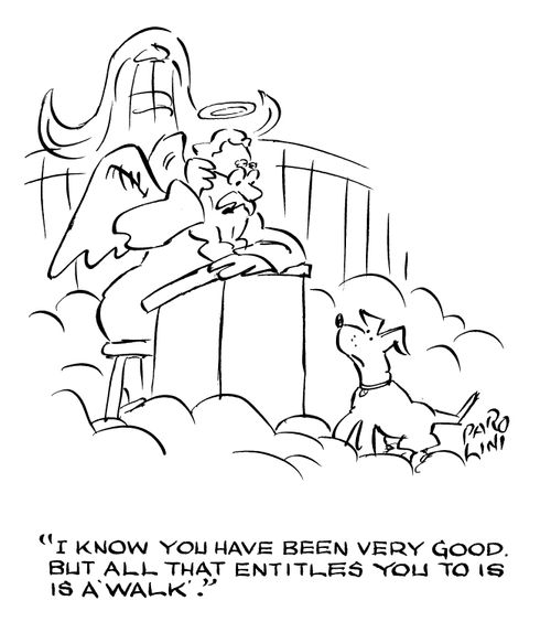 'I know you have been very good. But all that entitles you to is a 'walk'.'