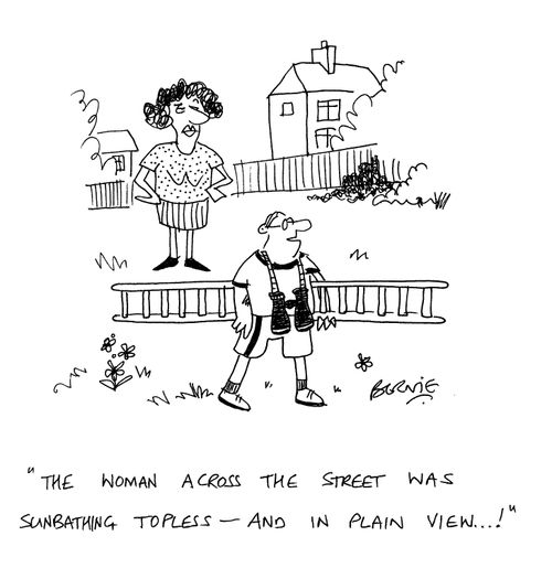 'The woman across the street was sunbathing topless - and in plain view...!'