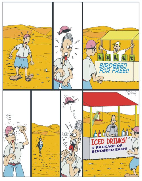 What has really happened in the desert...