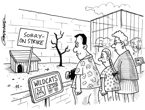 Wildcats Strike.