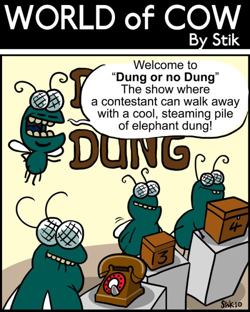 Welcome to 'Dung or no Dung!' The show where a contestant can walk away with a cool, steaming pile of elephant dung!