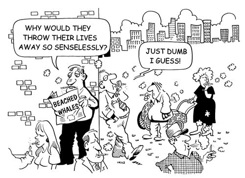 Why would they throw away their lives so senselessly?