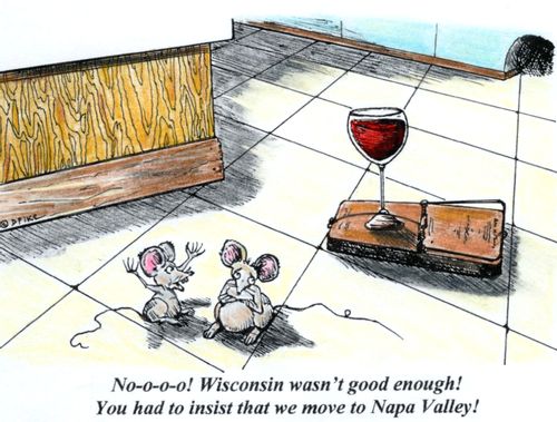 'No-o-o-o! Wisconsin wasn't good enough! You had to insist that we move to Napa Valley!'
