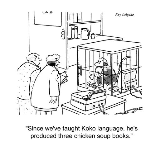 'Since we've taught Koko language, he's produced three chicken soup books.'