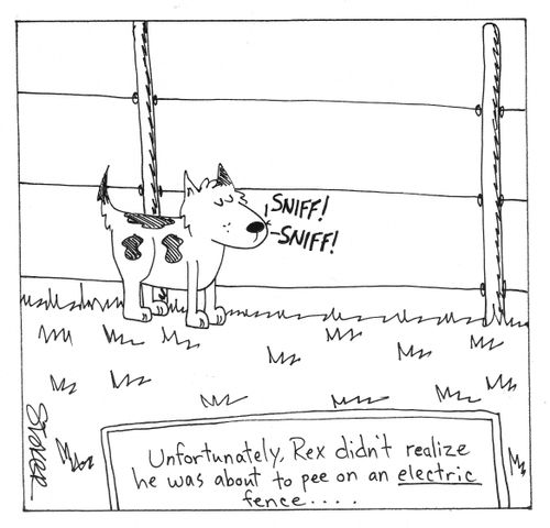 'Unfortunately, Rex didn't realize he was about to pee on an electric fence...'